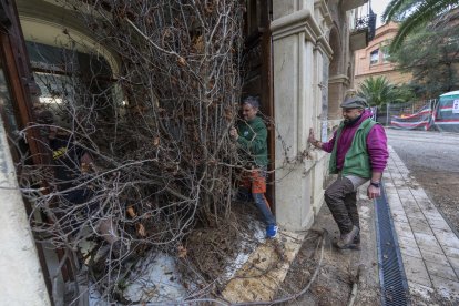 Los avellanos secos los han dejado a las puertas de la oficina comarcal del Departament d'Agricultura de Reus.