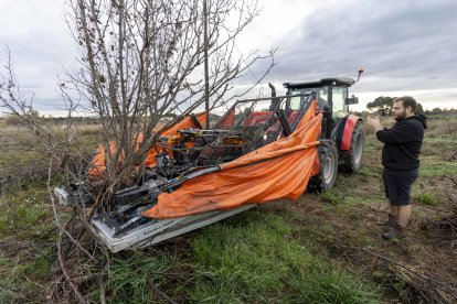 La finca de donde han cogido los avellanos secos es de Riudoms.