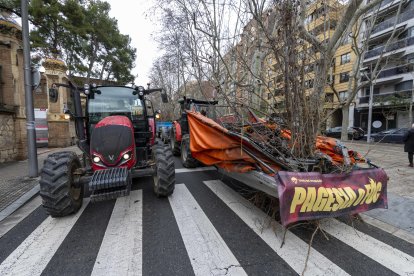 Tractores y avellanos, en el Passeig Sunyer de Reus.