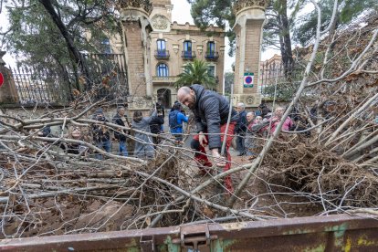 Sergi Claravall, coordinador de Unió de Pagesos al Camp de Tarragona, bajando un avellano seco delante de la oficina comarcal del Departament d'Agricultura en Reus.