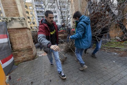 Los payeses han entrado con avellanos muertos por la sequía hasta la puerta de las oficinas comarcales del Departament d'Agricultura en Reus.