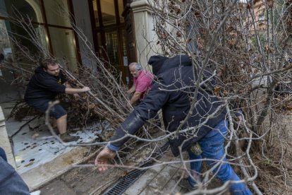 Los payeses han entrado con avellanos muertos por la sequía hasta la puerta de las oficinas comarcales del Departament d'Agricultura en Reus.