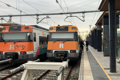 Trenes parados en Sant Vice.ç de Calders