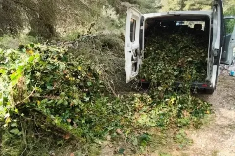 El vertido ilegal en un bosque de Cunit