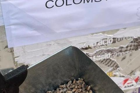 Comida para las palomas recogida por vecinos, con un cartel puesto por ellos, en la calle Rovira i Virgili.