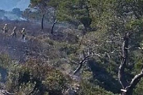 Los bomberos en el incendio de L