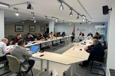 Ple del Consell Comarcal de la Ribera d