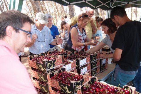 El públic va acaparar les existències de cireres posades a la venda a la fira.