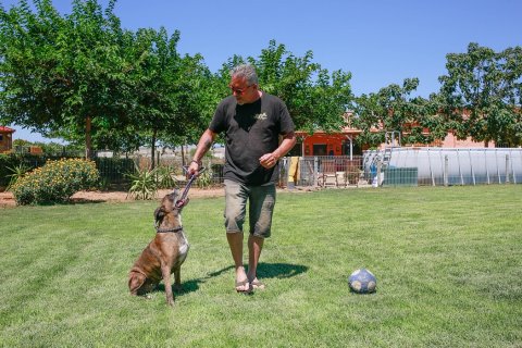 El hotel Tossuts dispone de una zona verde donde los animales pueden jugar y pasear.