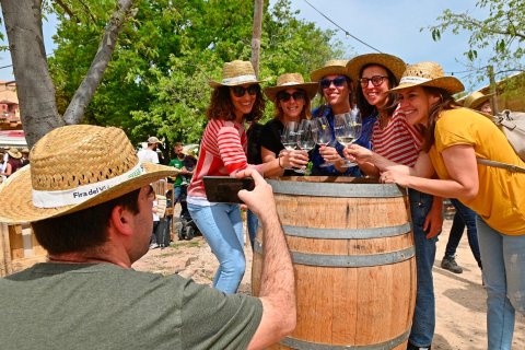 Visitants de la Fira dell Vi de Falset.