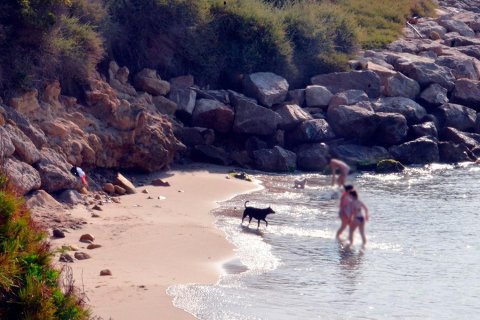 Imagen de archivo de la cala de la Torrota, cuando todavía era accesible.
