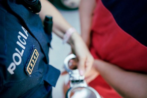 Los Mossos d’Esquadra desmantelan una red de tráfico de marihuana en Catalunya: 7 detenidos, 35.000 euros y 1.469 plantas incautadas
