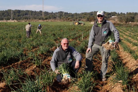 Jordi Blanch fue presidente de la IGP Calçot de Valls.