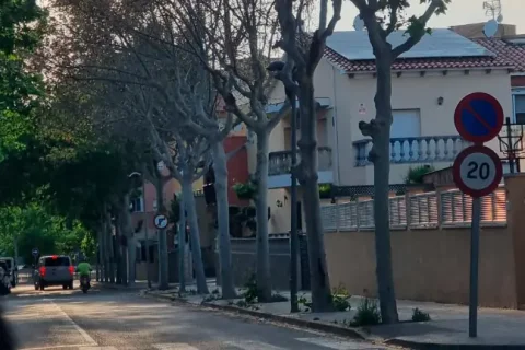 Siete plataneros han sido envenenados y muertos.