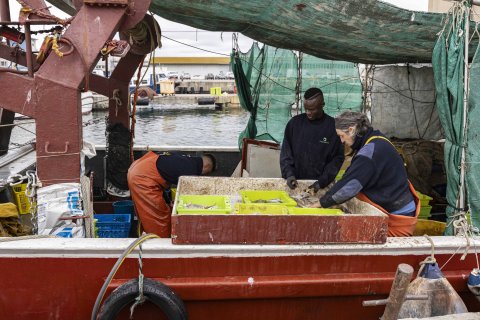 Pescadores, faenando antes de empezar la veda.