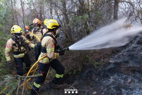 Bomberos de la Generalitat combatiendo el fuego forestal en Lleida.