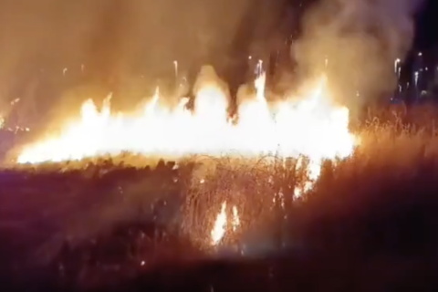 Imagen del incendio de matojos en Tarragona
