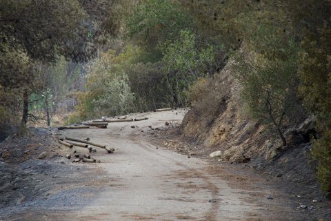 La Via Verda, en Aldover