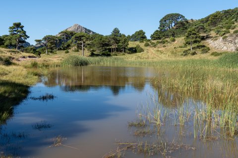 La Bassa de la Refoia.