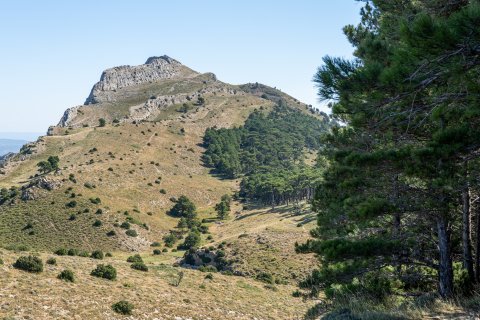 El Tossal d’en Grilló.