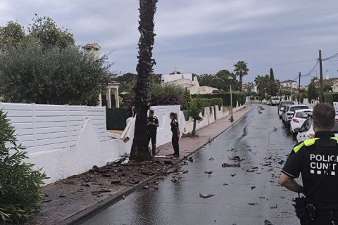 La palmera de la calle ha actuado como pararrayos.