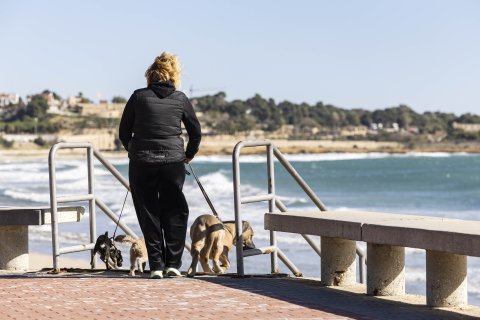 Imagen de una mujer paseando por Tarragona durante un episodio de viento.
