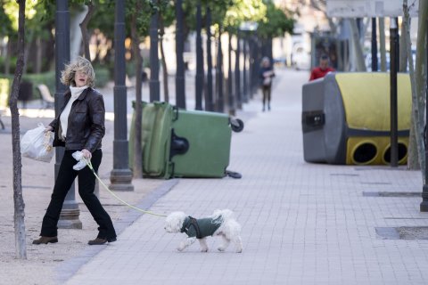 Una mujer pasea junto a su perro entre contenedores volcados por el viento.