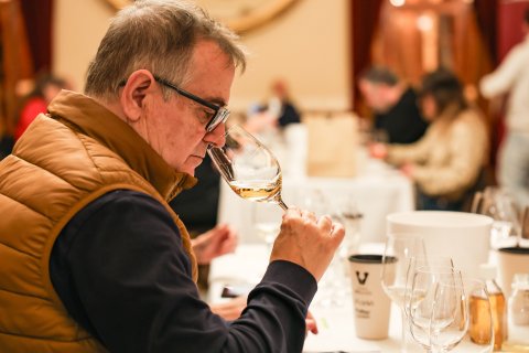 Els Premis Vinari han reunit una vintena de sommeliers.