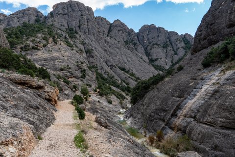 El camino de Els Estrets.