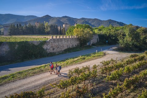Ruta pels voltants del monestir de Poblet.