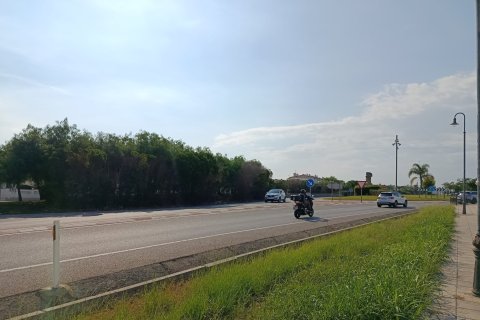 Muchos se juegan la vida pasando por la carretera.