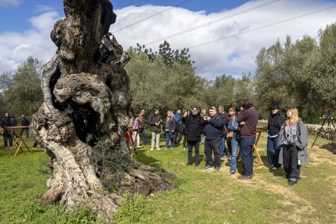 Acte a la finca de l