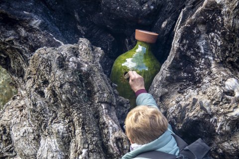 Depositant desitjos dins d