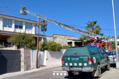 Los Agents Rurals durante el operativo de rescate del halcón