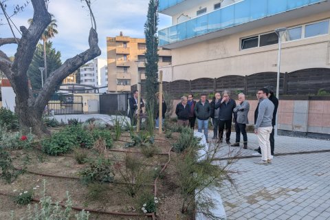 La plaza Corona d’Aragó de Salou gana vegetación.