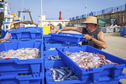 El puerto se convertirá en el epicentro de una celebración que reivindica la cultura marinera y la pesca local.