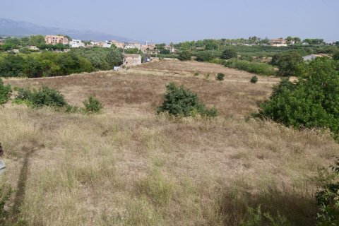 Terrenys on anirà ubicat el nou hospital, al barri de Sant Llàtzer- Raval de la Llet.