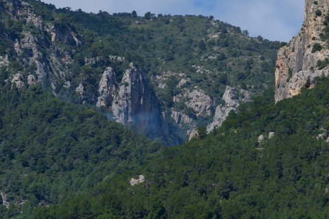 El fuego habría afectado, hasta el momento, a una zona de pinar de menos de una hectárea en Paüls
