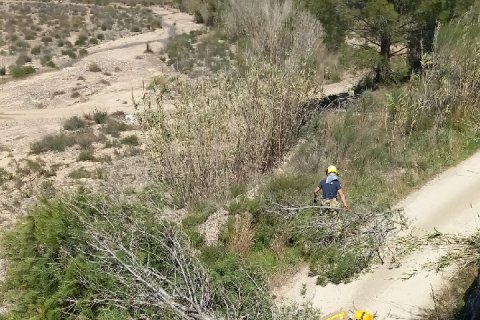 A consecuencia del golpe, un árbol ha caído en un camino cercano y lo ha cortado