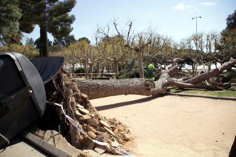El viento huracanado ha provocado desperfectos en las comarcas del norte de Catalunya.