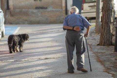 Esta línea de ayudas cuenta con un presupuesto de 19 millones de euros y está destinada a garantizar la permanencia en la vivienda habitual de las personas mayores de 65 años