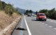 Jabalí en la cuneta después de ser atropellado.