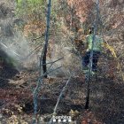 Bombers ha tenido que remojar el tronco de un arbol que humeaba en Xerta, en el perímetro del incendio de Paüls
