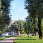 El contrato tiene un valor total de 4.873.727,30 euros y una duración de dos años