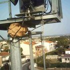 El nivo de avispas asiáticas en el campo de fútbol.