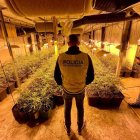 Un agente de los Mossos d'Esquadra con la marihuana.