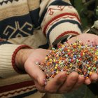 Una muestra de las agujas que produce la fábrica de Montbrió.