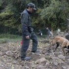 El Cuerpo de Agentes Rurales del Departamento de Interior y Seguridad Pública muestra cómo se trabaja con los agentes caninos en la localización de ejemplares de jabalí en el marco del operativo para la contención del virus de la Peste Porcina Africana, este domingo, en Sabadell