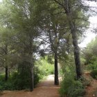 Los espacios verdes de Salou están equipados con fuentes de agua y vegetación abundante que favorecen el confort térmico