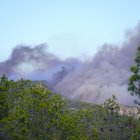 Los bosques están secos y cualquier chispa puede causar un incendio.